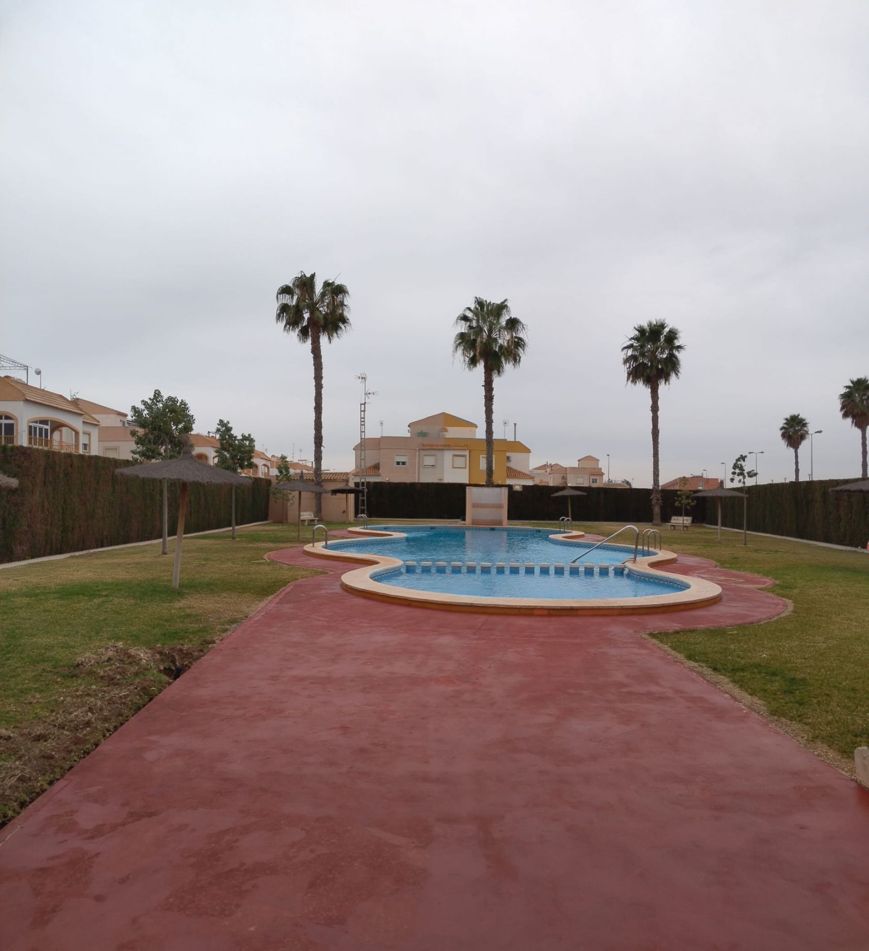 Planta baja – Torrevieja – 68100 EUR