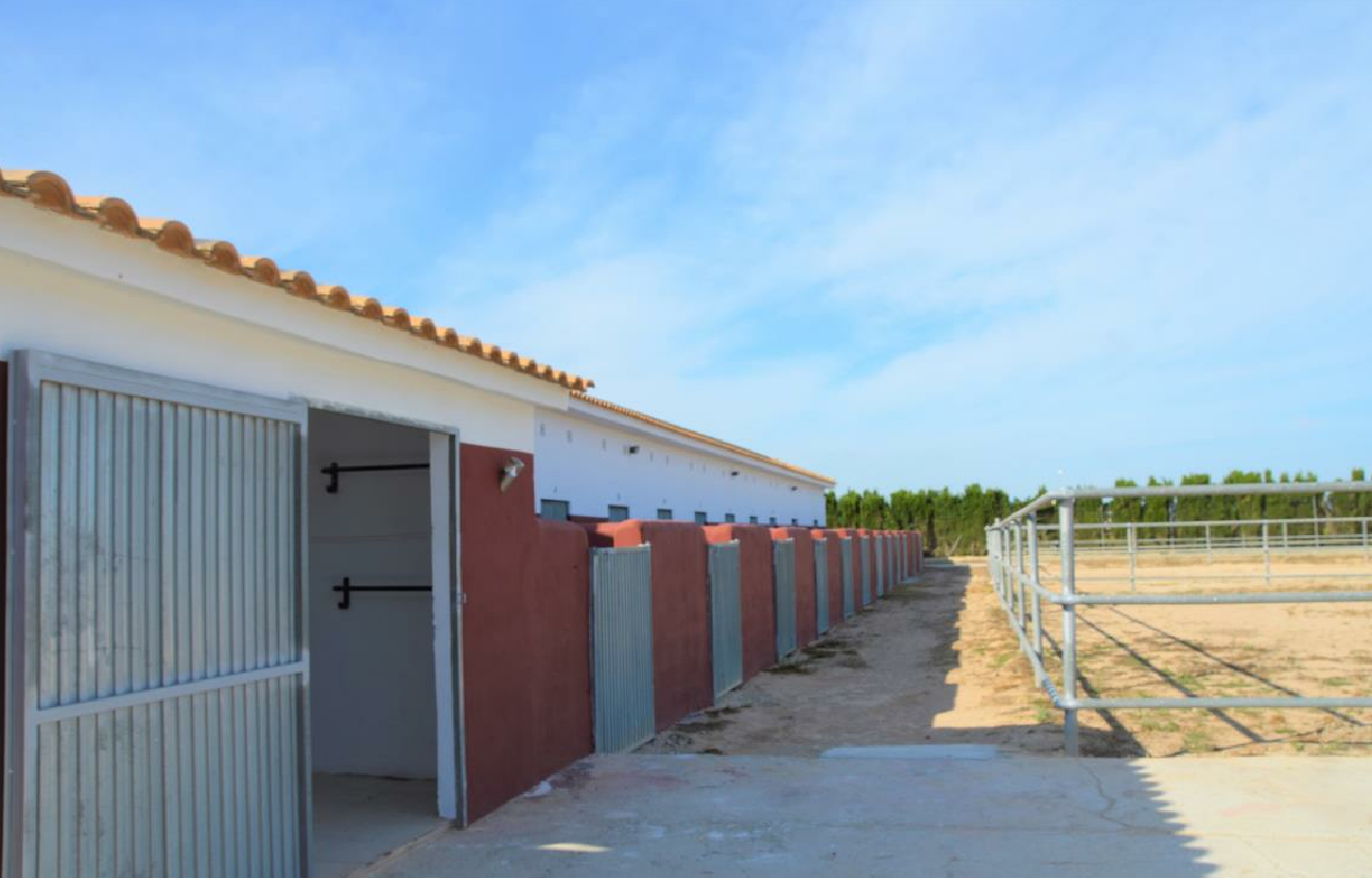 Plot – San Miguel de Salinas – 456000 EUR
